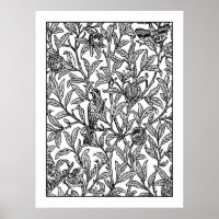 Adult Coloring Poster Morris Bird & Pomegranate