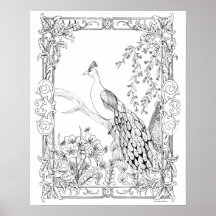 Adult Coloring Poster "Pretty as a Peacock Art"