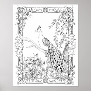 Adult Coloring Poster "Pretty as a Peacock Art"