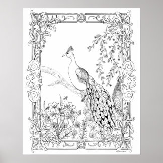 Adult Coloring Poster "Pretty as a Peacock Art"