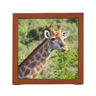 Adult Giraffe Face and Neck Desk Organizer