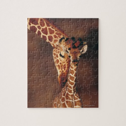 Adult Giraffe with calf Giraffa camelopardalis Jigsaw Puzzle