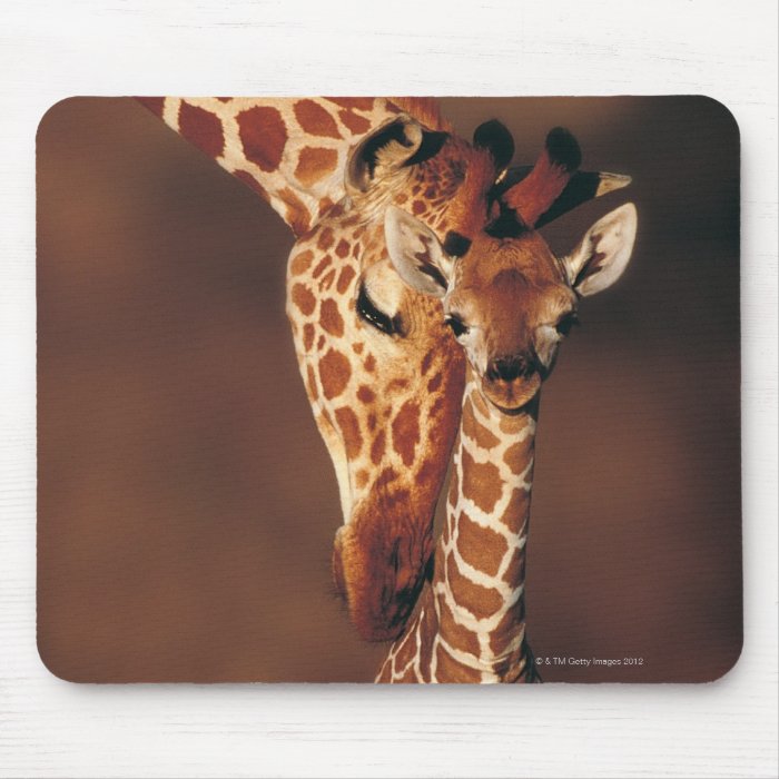 Adult Giraffe with calf (Giraffa camelopardalis) Mouse Pad