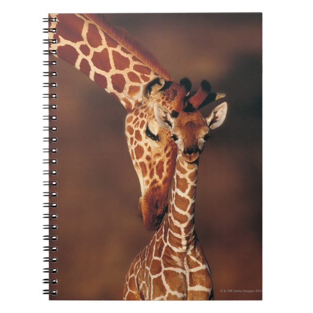 Adult Giraffe with calf (Giraffa camelopardalis) Notebook (Front)