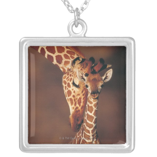 Adult Giraffe with calf (Giraffa camelopardalis) Silver Plated Necklace (Front)