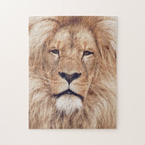 Adult Male Lion King of Africa Jigsaw Puzzle