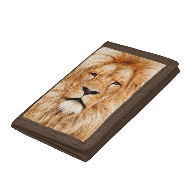 Adult Male Lion, King of Africa Trifold Wallet (Bottom)