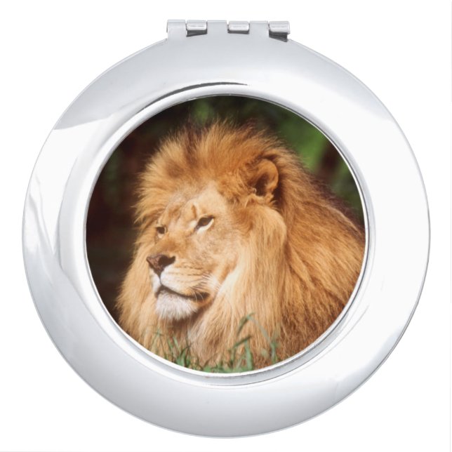 Adult male Lion Makeup Mirror (Front)