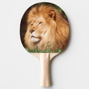 Adult male Lion Ping-Pong Paddle