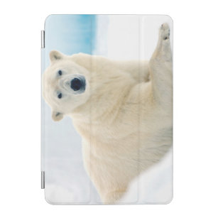 Adult polar bear large boar on the summer ice iPad mini cover