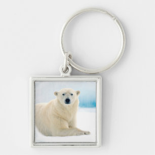 Adult polar bear large boar on the summer ice keychain