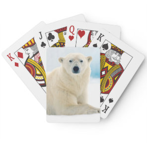 Adult polar bear large boar on the summer ice poker cards