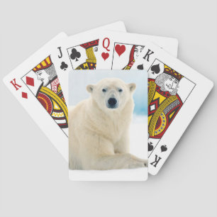 Adult polar bear large boar on the summer ice poker cards