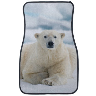 Adult polar bear on the summer pack ice car mat