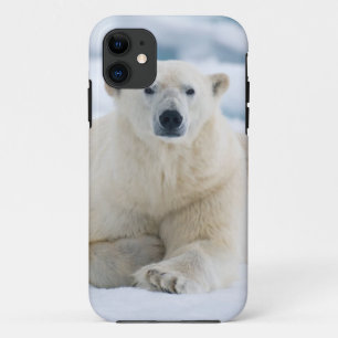 Adult polar bear on the summer pack ice iPhone 11 case