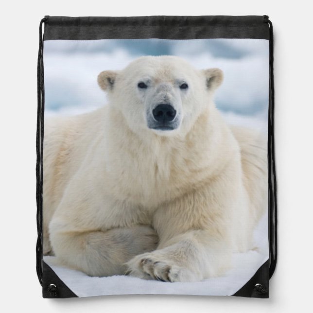 Adult polar bear on the summer pack ice drawstring bag (Front)