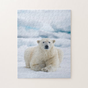 Adult polar bear on the summer pack ice jigsaw puzzle