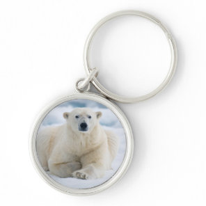 Adult polar bear on the summer pack ice keychain