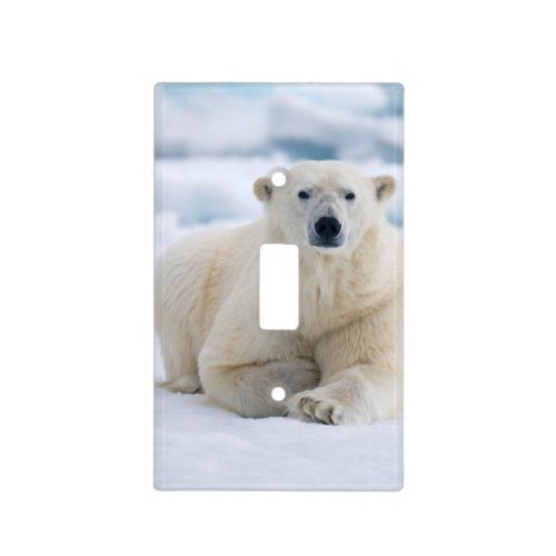 Adult polar bear on the summer pack ice light switch cover