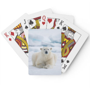 Adult polar bear on the summer pack ice poker cards
