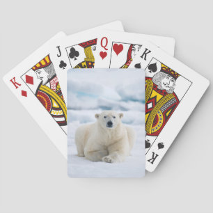 Adult polar bear on the summer pack ice poker cards