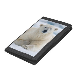 Adult polar bear on the summer pack ice trifold wallet