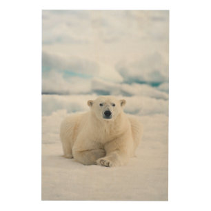 Adult polar bear on the summer pack ice wood wall decor