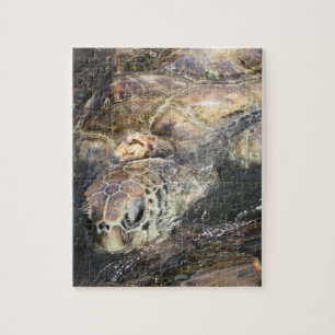 Adult Sea Turtle Jigsaw Puzzle