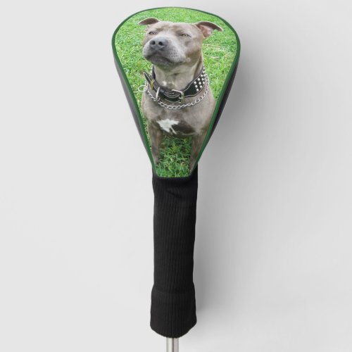 Adult Staffordshire Bull Terrier Golf Driver Cover