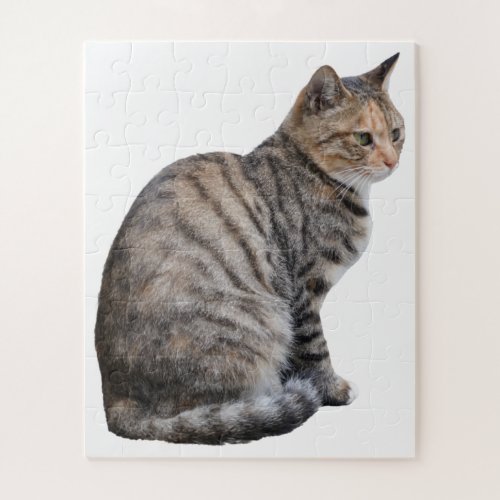 Adult Tabby Cat Jigsaw Puzzle