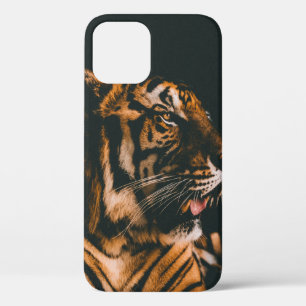 ADULT TIGER PRONE LYING INSIDE DIM LIGHTED ROOM iPhone 12 CASE