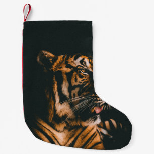 ADULT TIGER PRONE LYING INSIDE DIM LIGHTED ROOM SMALL CHRISTMAS STOCKING