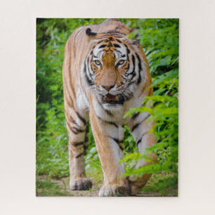 Adult Tiger Prowling Among Bright Green Leaves Jigsaw Puzzle