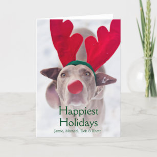 Adult Weimaraner dog wearing red antler headband Holiday Card