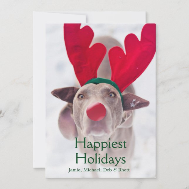 Adult Weimaraner dog wearing red antler headband Holiday Card (Front)