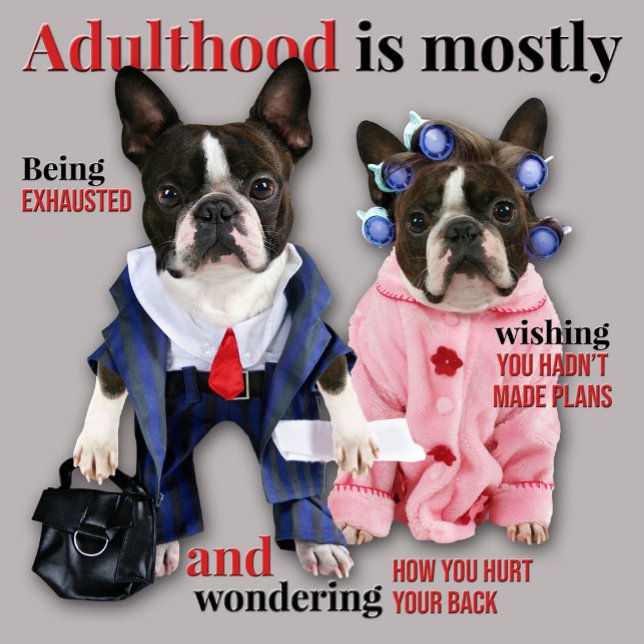 Adulthood T-Shirt (Creator Uploaded)