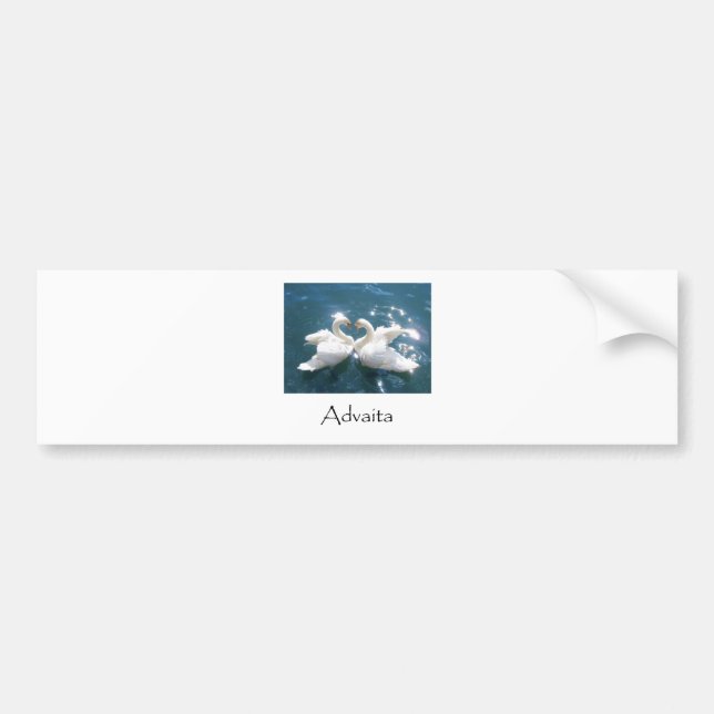 Advaita Swans Bumper Sticker (Front)