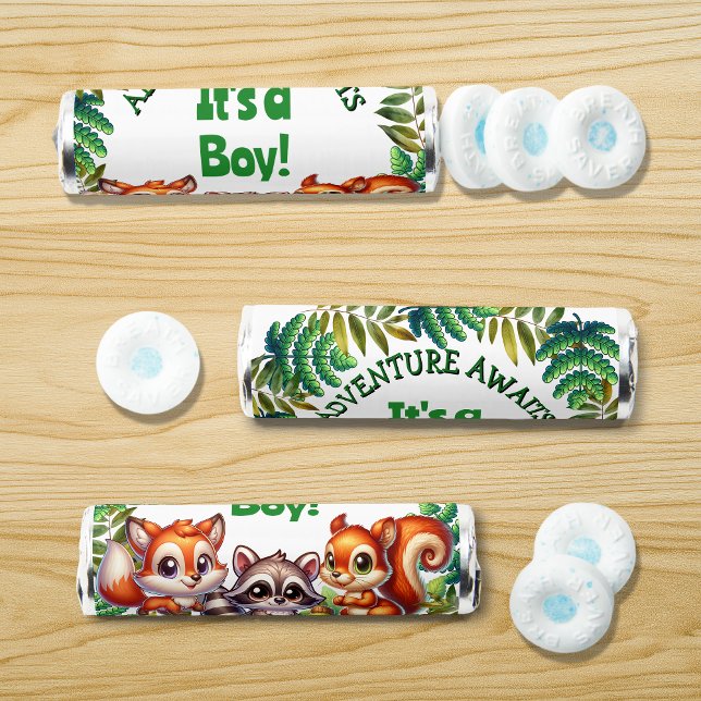 Adventure Awaits It's a Boy Baby Shower Breath Savers® Mints (Creator Uploaded)