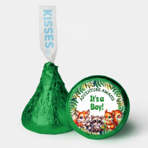 Adventure Awaits It's a Boy Baby Shower Hershey®'s Kisses®