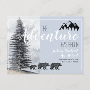 Adventure Begins Woodland Bears Birth Announcement Postcard