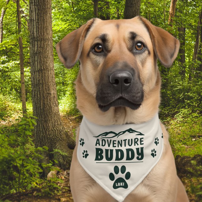 Adventure Buddy Mountain Paw Dog Name Pet Bandana Collar (Creator Uploaded)