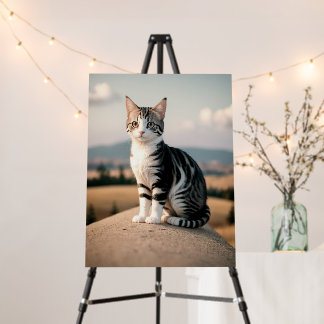 Adventure Cat in Nature  Foam Board