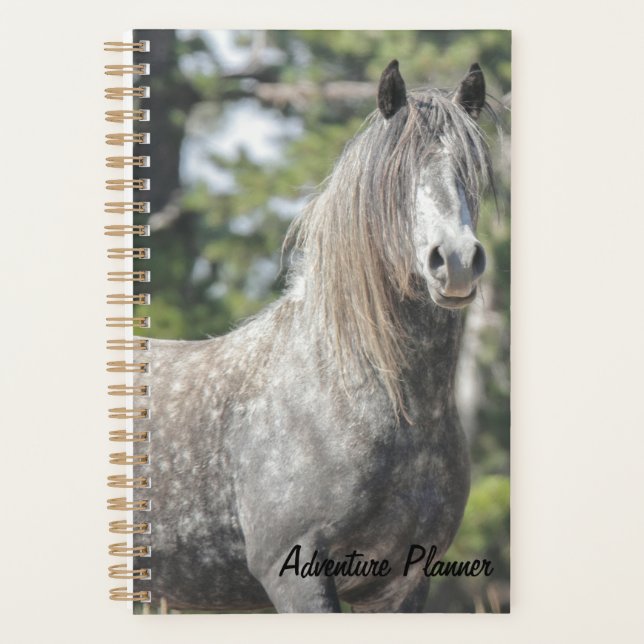 Adventure Planner w/ Grey Ghost  (Front)