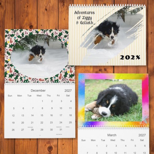 Adventures of Your Dog Custom Photo Calendar