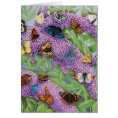 Adventuring 2011 (Front)