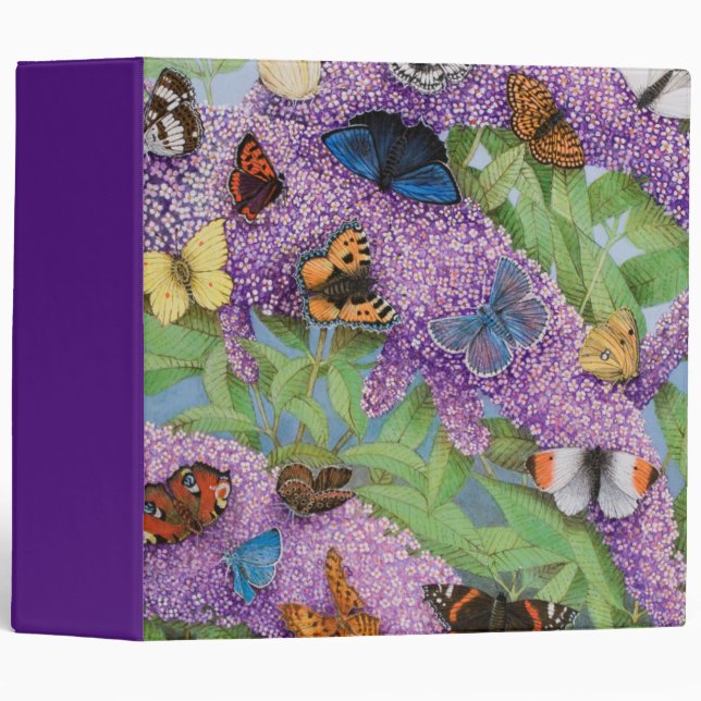 Adventuring 2011 binder (Front/Spine)