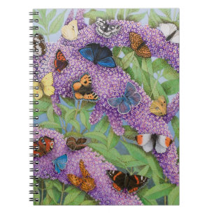 Adventuring 2011 notebook