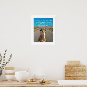 Adventurous Meerkat Living magnet Poster