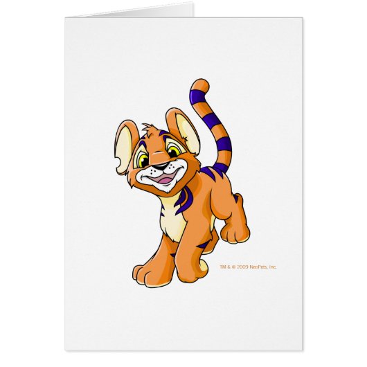 Adventurous orange Kougra Cards (Front)