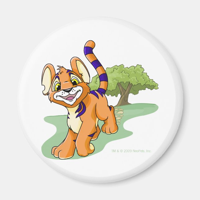 Adventurous orange Kougra on Mystery Island Magnet (Front)